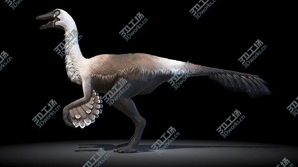 images/goods_img/20210312/3D Gallimimus/4.jpg